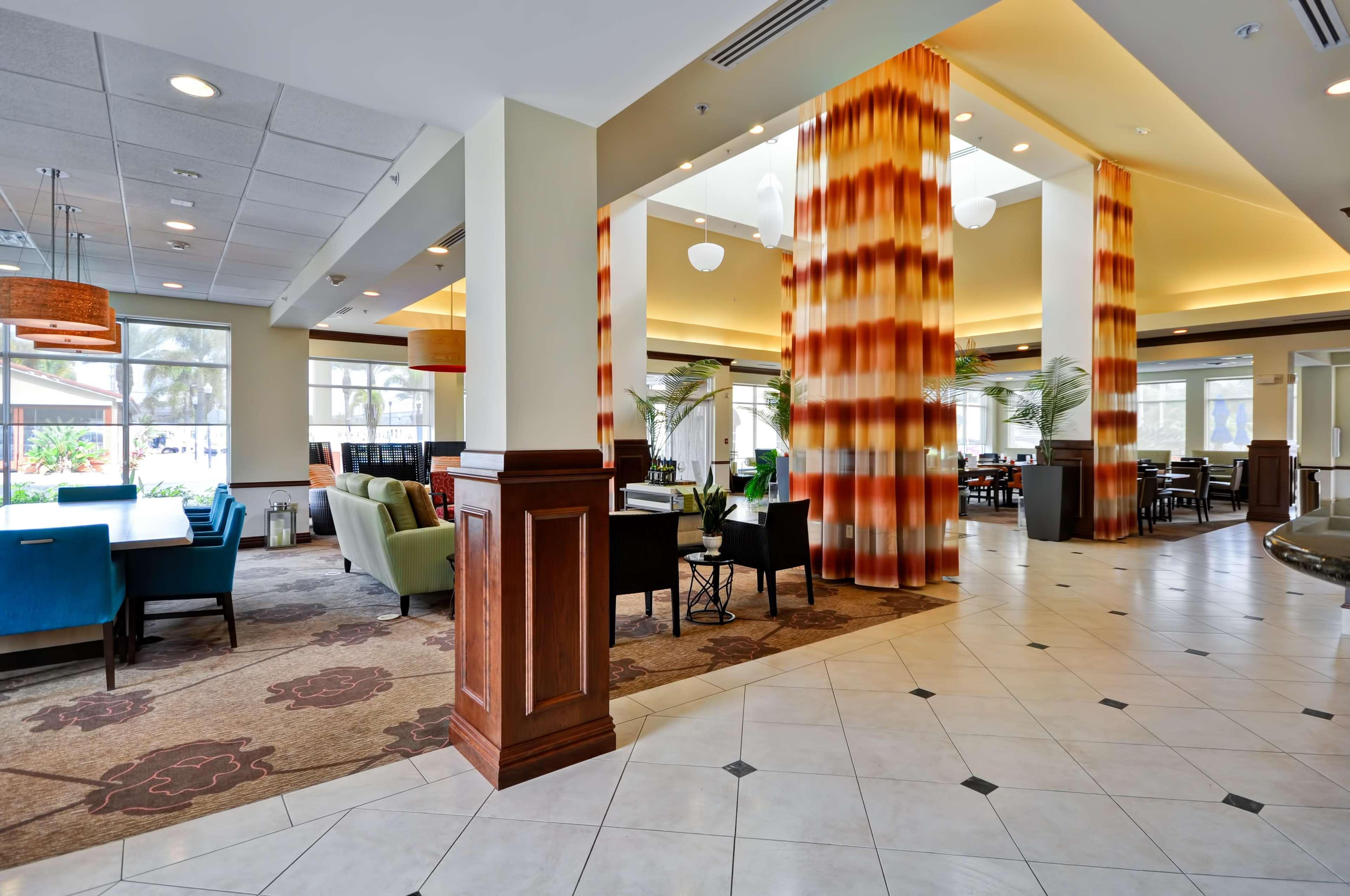 Hilton Garden Inn Tampa Northwest/Oldsmar Zewnętrze zdjęcie