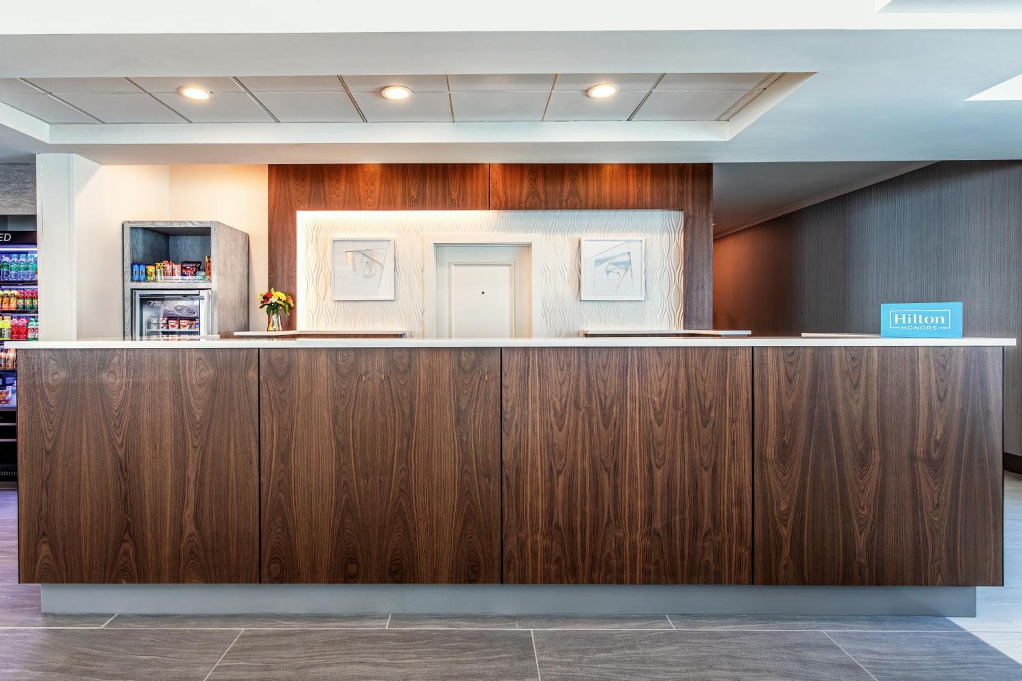 Hilton Garden Inn Tampa Northwest/Oldsmar Zewnętrze zdjęcie